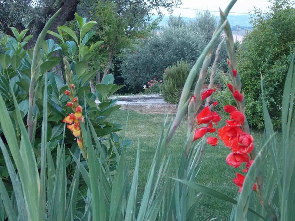 B&B La Torretta Tavullia Extérieur photo