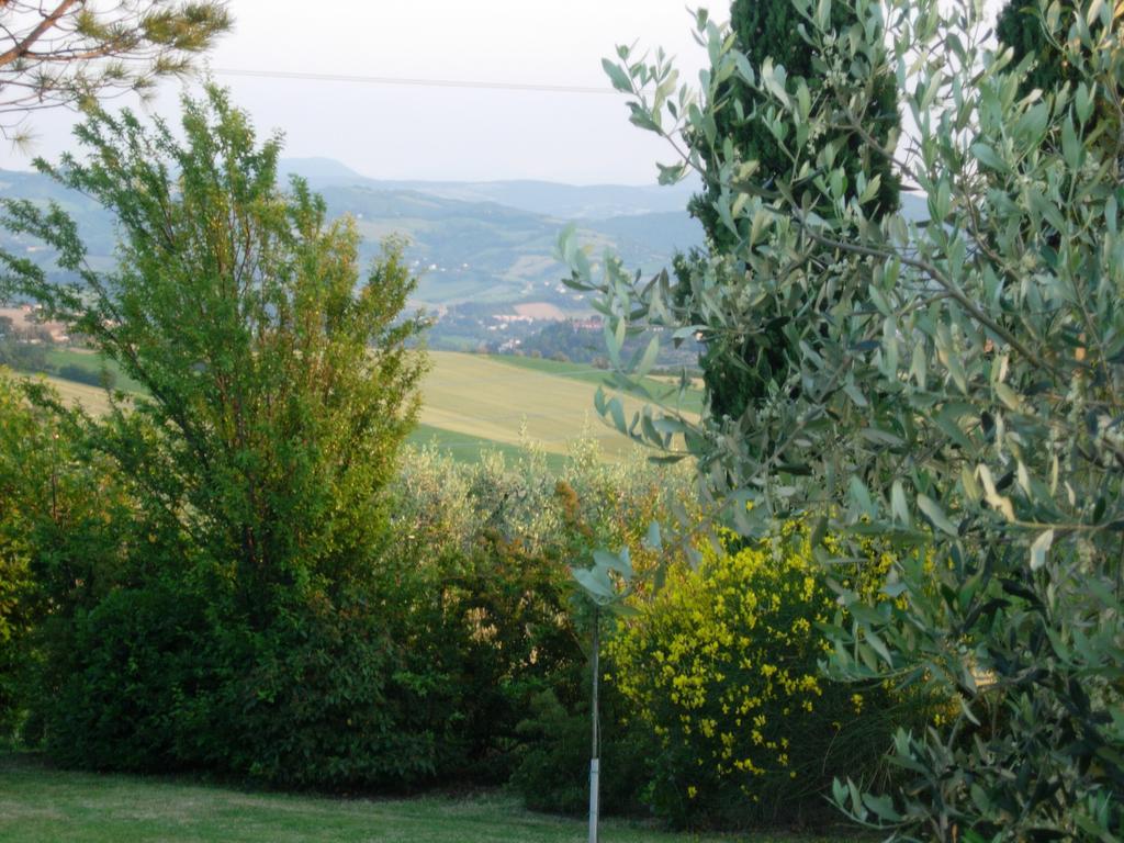 B&B La Torretta Tavullia Extérieur photo